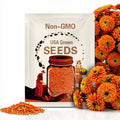 Queen Orange Lime Zinnia Seeds, Zinnia Elegans, Queen Series ZE0910