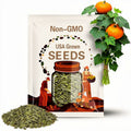 Wee-B-Little Pumpkin Seeds, Mini Orange Pumpkins, Open-Pollinated, Non GMO, Cucurbita pepo