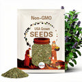 Stevia (Sugar Leaf) Seeds - Heirloom Seeds, Natural Sweetener, Sugar Substitute, Zero Calories, Sweet Herb, Stevia Rebaudiana, Non-GMO