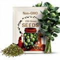 Brussel Sprouts Catskill Seeds 300+ Vegetable Heirloom NON-GMO USA