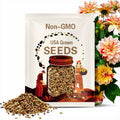20+ Seeds| Awe Shucks Dahlia Seeds - Perennial - Flowering - Hybrid - Open-Pollinating - Fast Growing - Clumping - Plant in Spring #D007