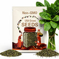 Sorrel | 200 Seeds | Culinary Herb | Salad Green | Non GMO | Rumex acetosa