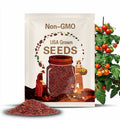 Red Robin Tomato Seeds Micro Dwarf Plants Organic Red Cherry Fruit Heirloom USA