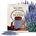 Blue Catmint seeds, Nepeta Mussinni NE0350