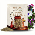 Matsushima - Japanese Morning Glory Seeds - ipomoea Nil