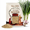 250+ Garlic Chive Seeds - USA GROWN! Organic, Heirloom, and non-GMO!