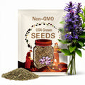50Pcs Italian man orchid seeds Orchids italica Poir. seeds. #4151