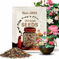 Mixed Color Lotus Seeds for Planting - 10 Seeds - Beautiful Water Plants for Ponds and Gardens