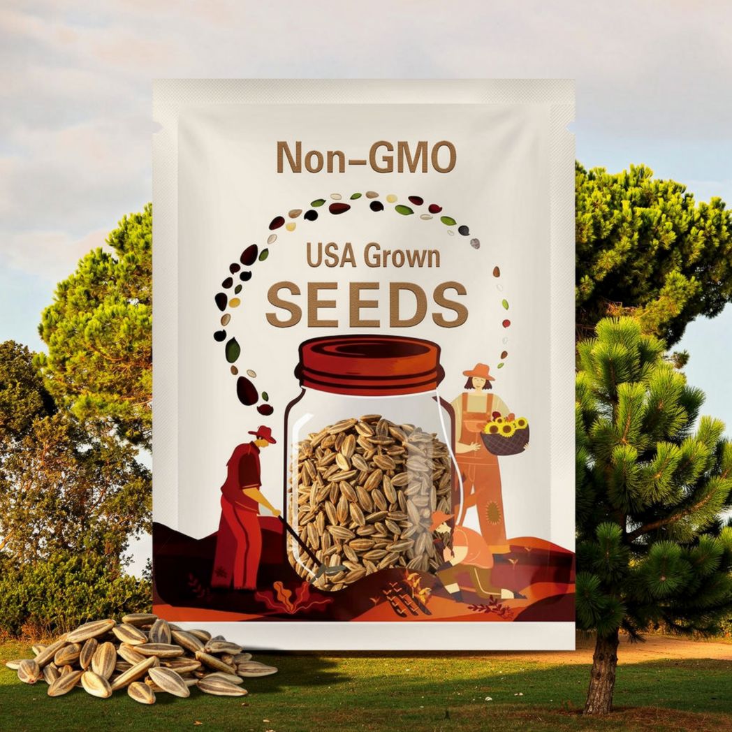 5 Pine Nut ITALIAN STONE PINE Pinus Pinea Umbrella Tree Seeds