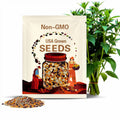 Hopi Three Sisters Seed Collection: Native American Corn, Beans, Squash